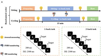 Changes in working memory performance and cortical activity during acute aerobic exercise in young adults